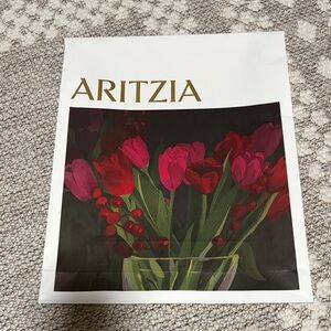 Aritzia shopping gift bag